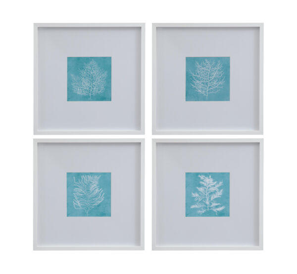 White Coral on Blue Framed Print