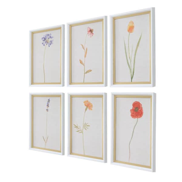Wild Flourish Framed Prints, Set of 6