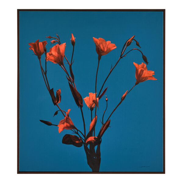 Teng Fei’s Sunset Blooms