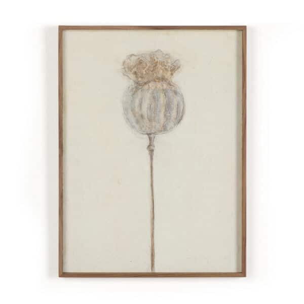 Poppy Crema by Paul Meyer