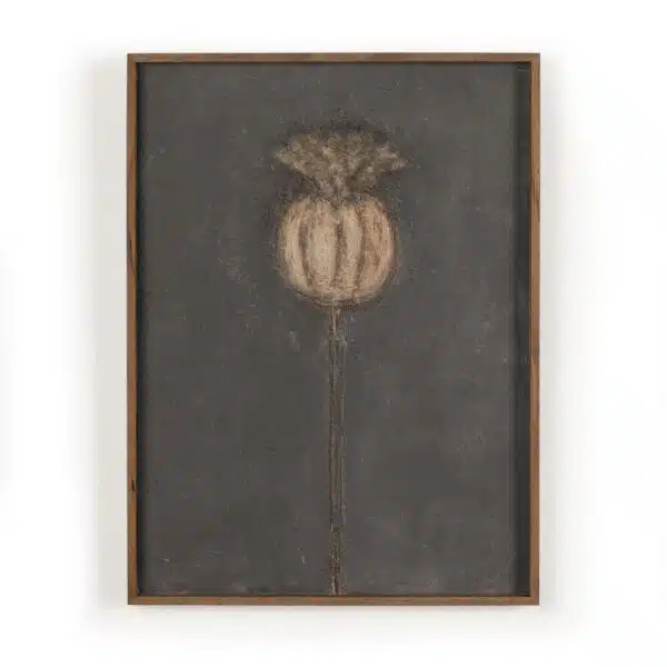 Poppy Noche by Paul Meyer