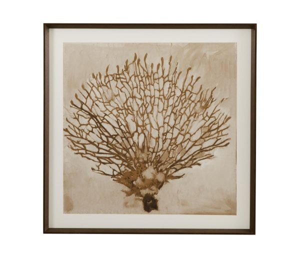 Neutral Seafan & Starfish Framed Print