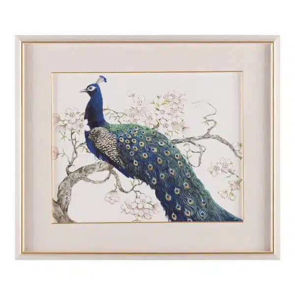 Tim O’Toole’s Peacock and Blossoms