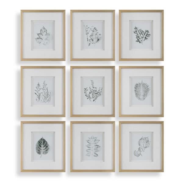 Nature’s Script Framed Prints, Set of 9