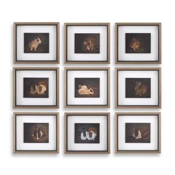Resting Bunny Framed Prints, Set of 9