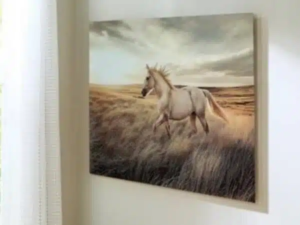 Errolville Wall Art