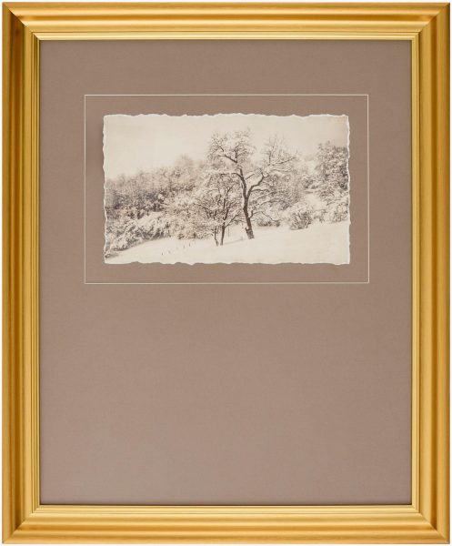 Coconino Framed Art
