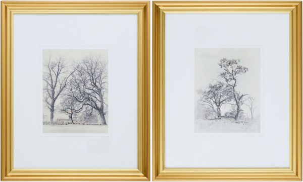 Coconino Framed Art
