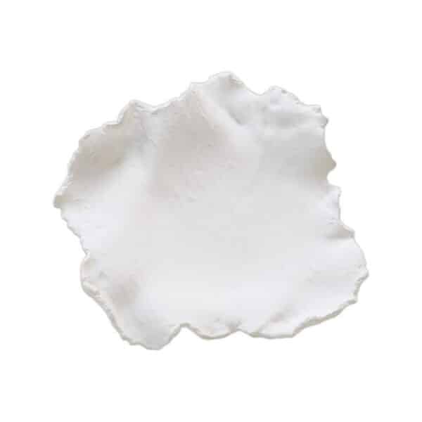 Maitake Wall Decor – Curled