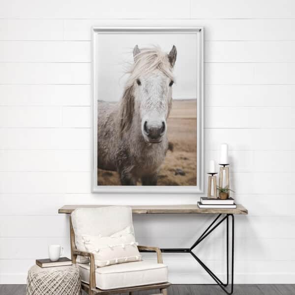 Horses of Hofn Framed Series