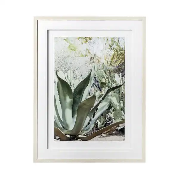 Arid Rose Framed Series