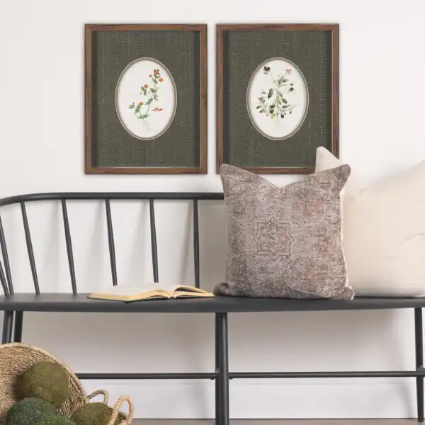 Anagallis Arvensis Framed Series