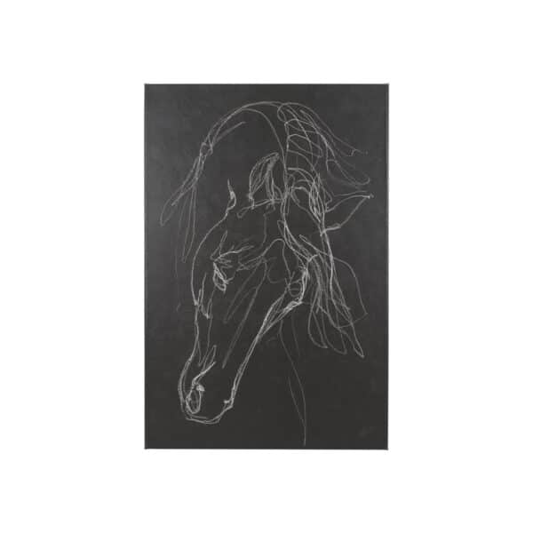 Horse Sketch Andalusian Canvas Series
