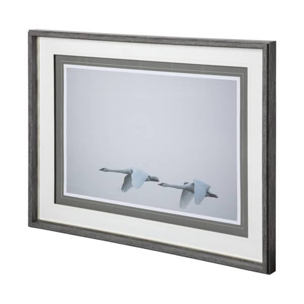 Andante Framed Series