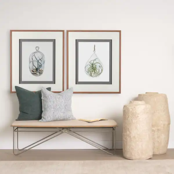 Air Plant Framed Series