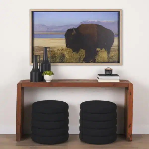 Antelope Island by Gary Blatter