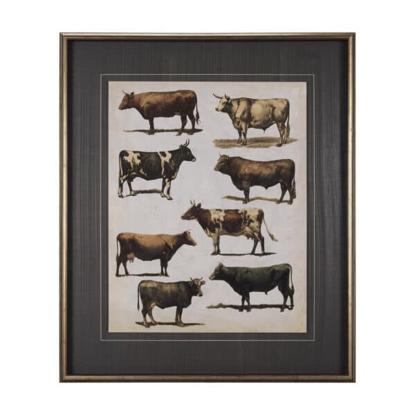 Antique Cow Chart by Mercana Studio