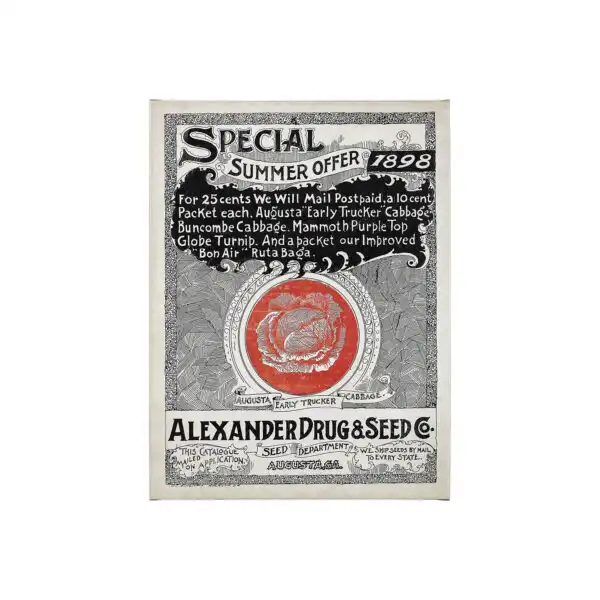 Antique Seed Packet Canvas Series