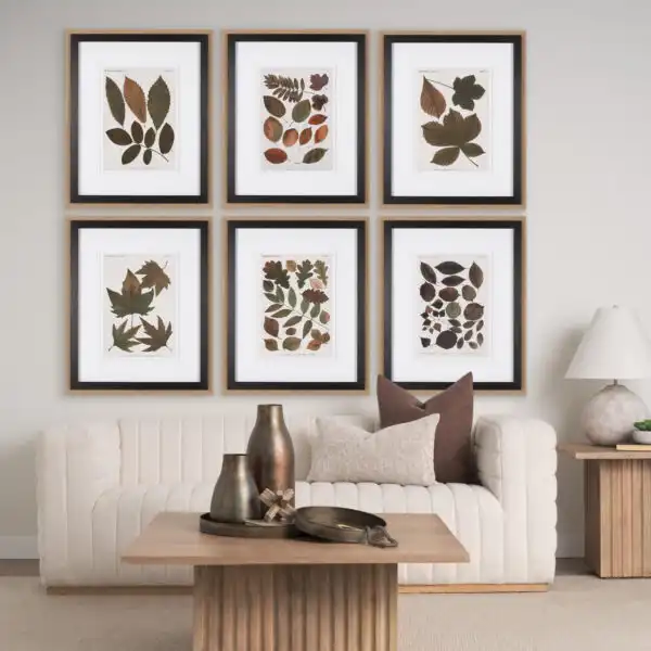 Autumnal Leaves Framed Series