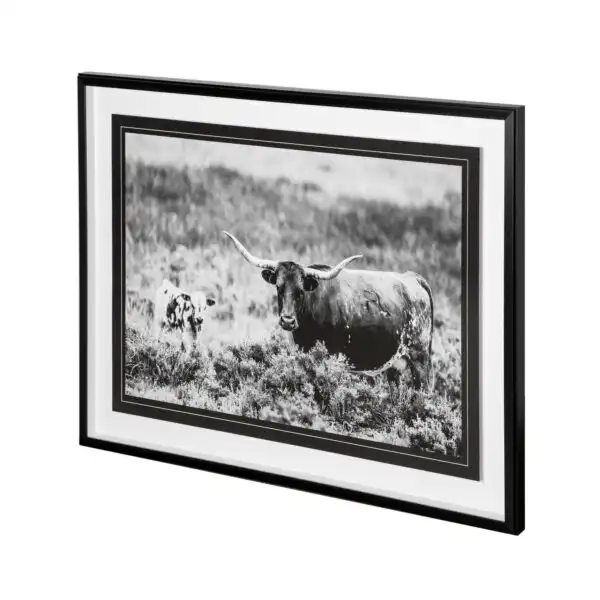 B&W Longhorn Framed Series