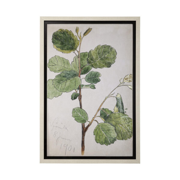 Wild Botanical Framed Series