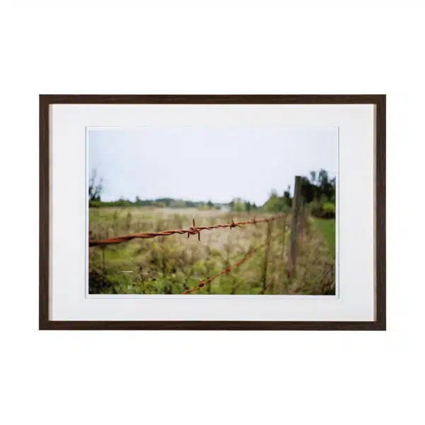 Barbed Wire by Katelyn Mostert