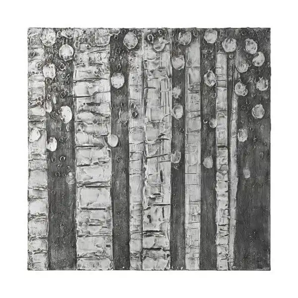 Birch Trees by Studio M