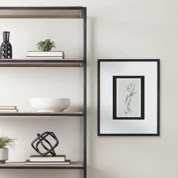 Botanical Sketches Black Framed Series