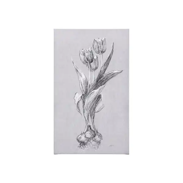 Botanical Sketches Canvas Series