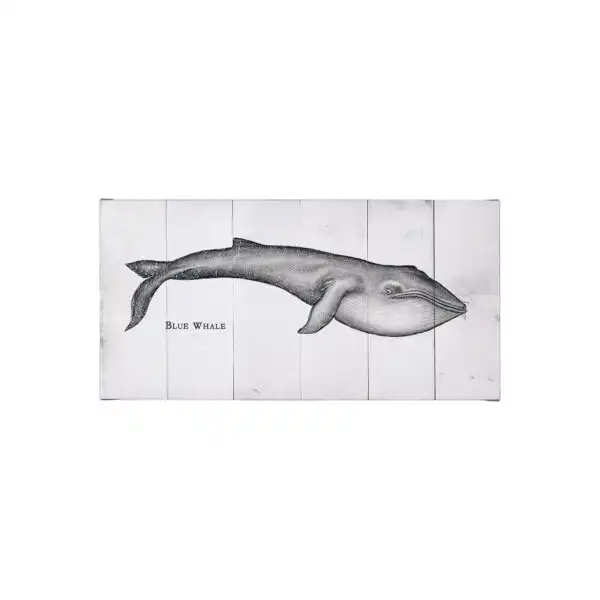 Whale Art Canvas Series