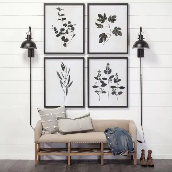 Botanical Study Framed Series