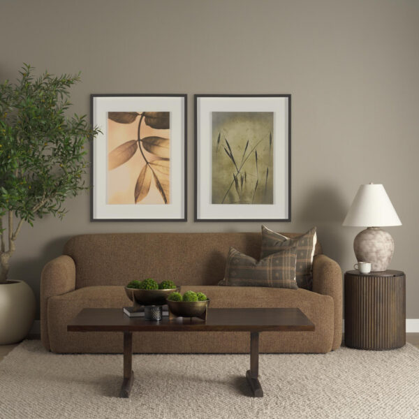 Leaf Imaging Framed Series
