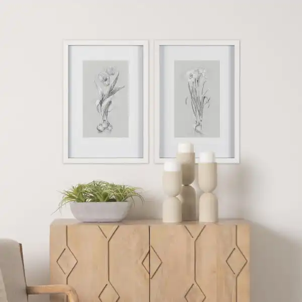 Botanical Sketches White Framed Series