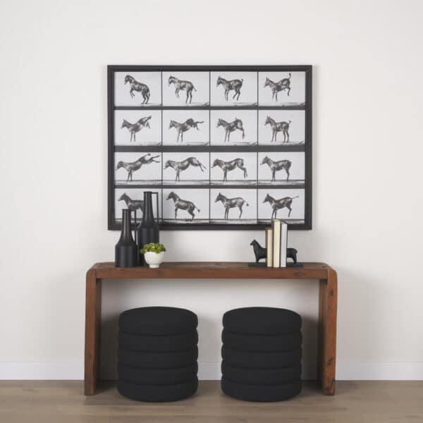 Bucking and Kicking by Eadweard Muybridge