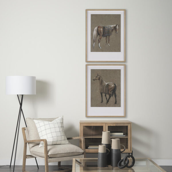 Horse Blanket Framed Series