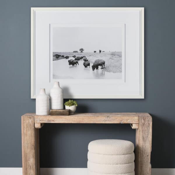 Buffalo Brook by Mercana Studio