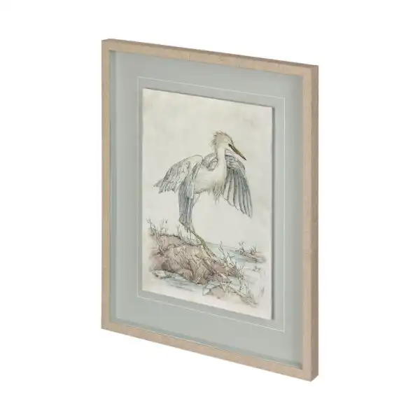 Wetlands Bird Framed Series