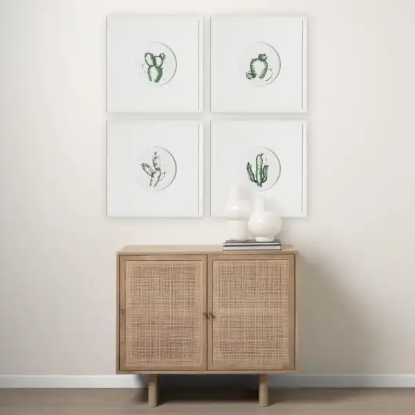 Cactus Framed Series