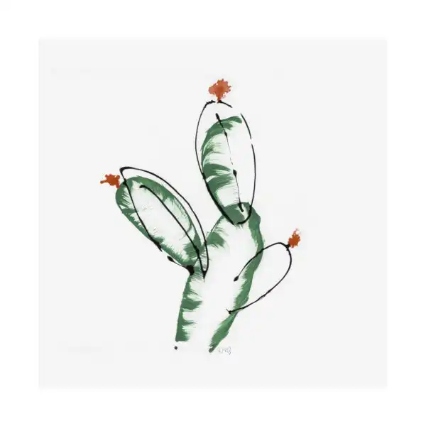 Cactus Canvas Series