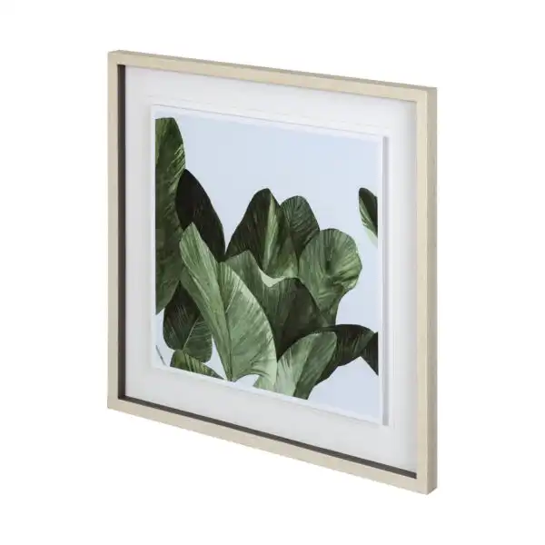 Celadon Palms Framed Series