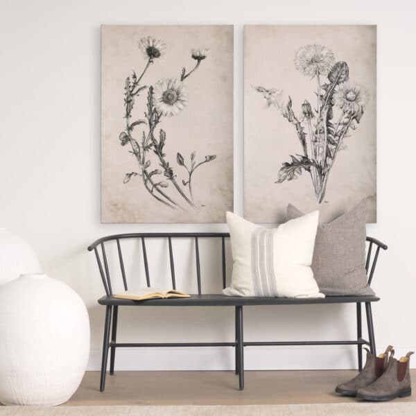 Wildflower Drawing Canvas Series