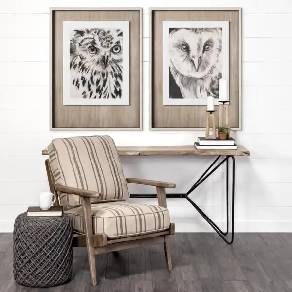 Charcoal Owl Framed Series