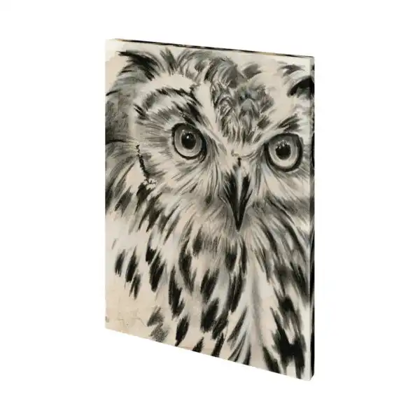 Charcoal Owl Canvas Series