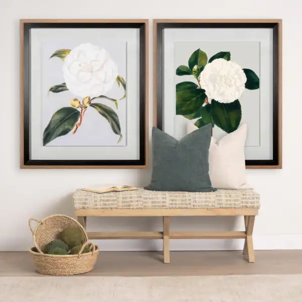 Camellia Japonica Framed Series