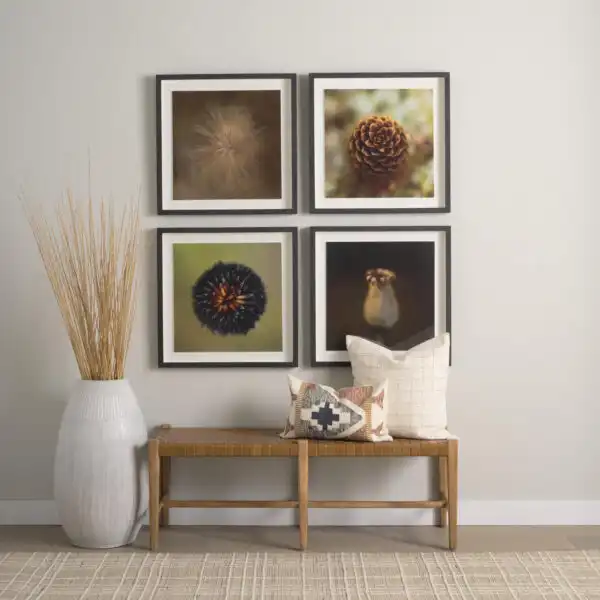 Down to Earth Framed Series