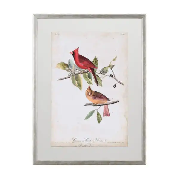 Bird and Botanical Framed Series