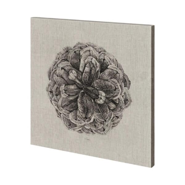Cone of View Canvas Series