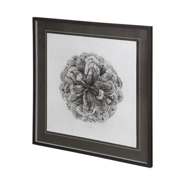 Cone of View Framed Series