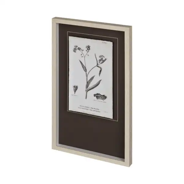 Conversations on Botany Framed Series