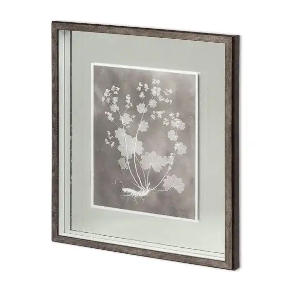Custom Herbarium Study Framed Series